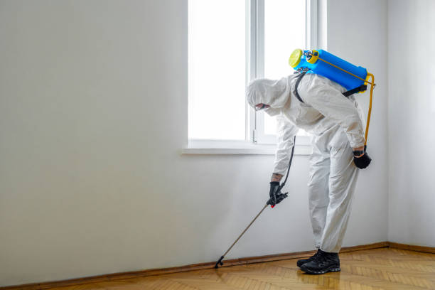 Best Pest Prevention Services  in Edgewater, FL