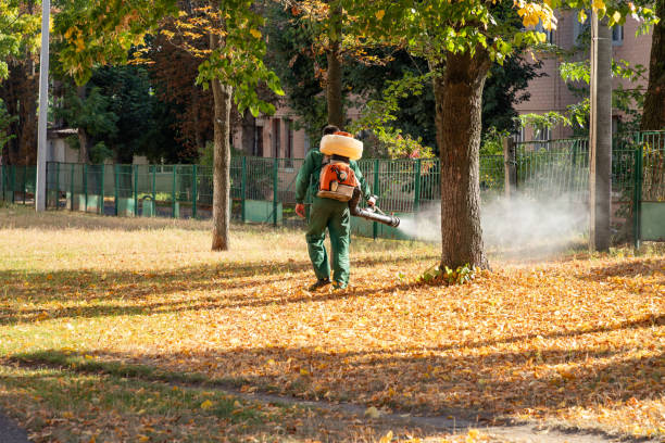 Pest Control Cost in Edgewater, FL