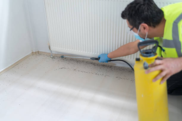 Best Pest Prevention Services  in Edgewater, FL
