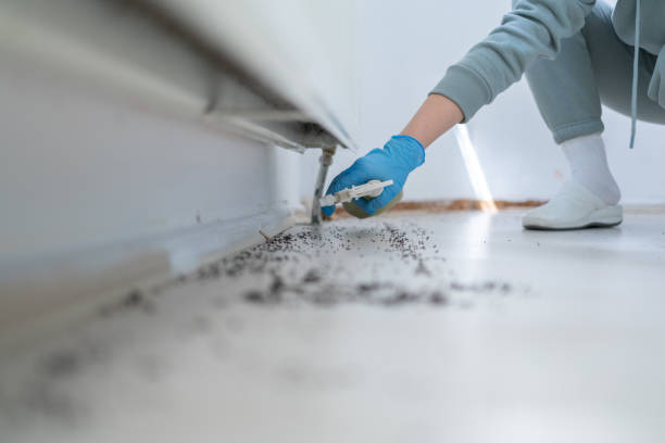 Best Wildlife Control Services  in Edgewater, FL